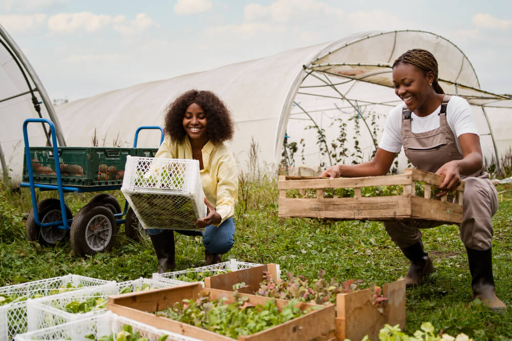 Sustainable Agriculture Program.